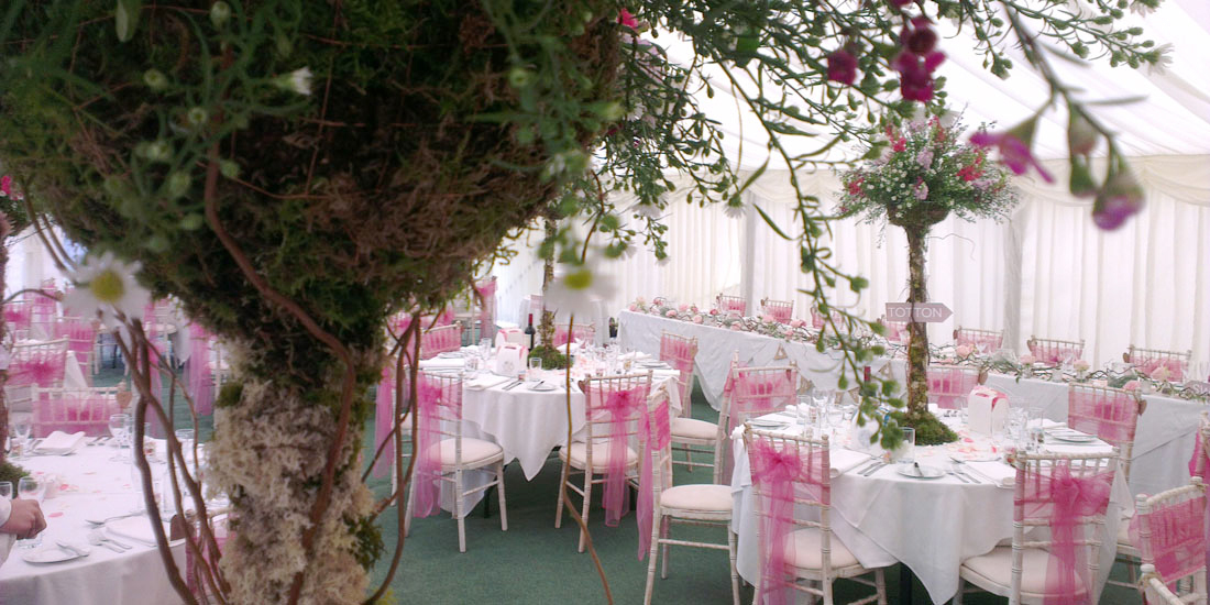 Wedding Slide 2